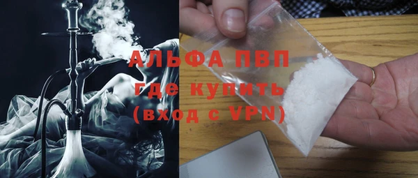 стаф Верея