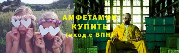 стаф Верея