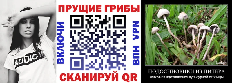 Галлюциногенные грибы MAGIC MUSHROOMS  сколько стоит  Калязин 